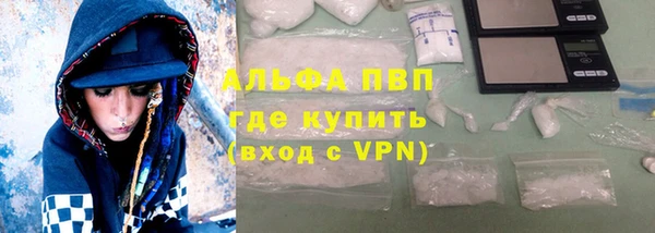 хмурый Корсаков