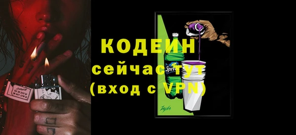 хмурый Корсаков