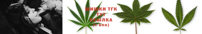 mdpv Коряжма