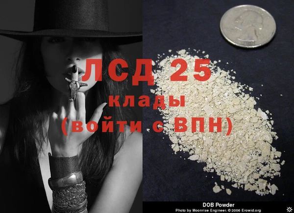 ГАЛЛЮЦИНОГЕННЫЕ ГРИБЫ Костерёво