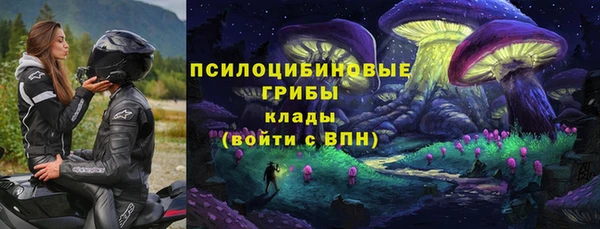 mdpv Коряжма