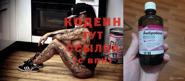 ГАЛЛЮЦИНОГЕННЫЕ ГРИБЫ Костерёво
